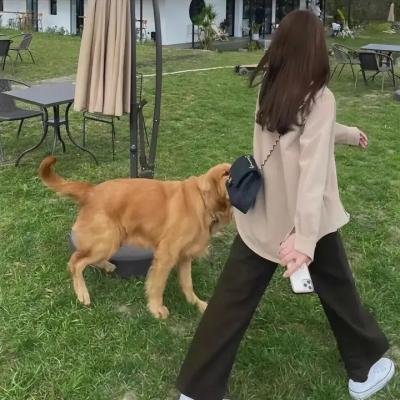 机甲学员